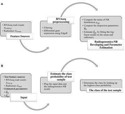 Joint Modeling of RNAseq and Radiomics Data for Glioma Molecular Characterization and Prediction